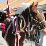 Chelsea as Carousel Horse at Fair